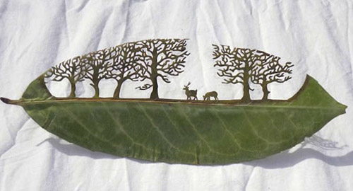 Leaf Cut Art