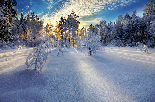 Mikko Lagerstedt