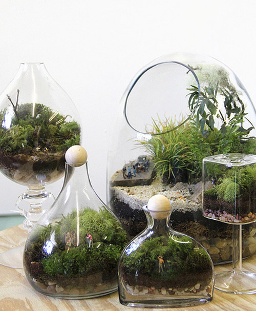 Twig Terrariums